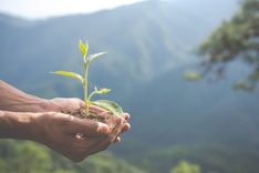 Humanitaire 3A développement durable
